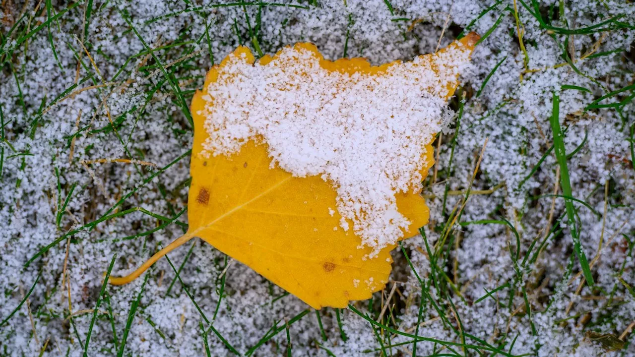 Wetter: Regen und Schnee in der neuen Woche in Deutschland