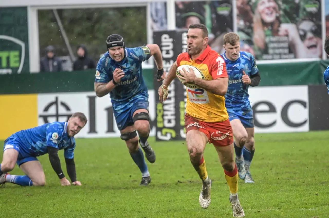 Challenge Cup. Face à Newcastle, Pau se redresse sur la scène européenne