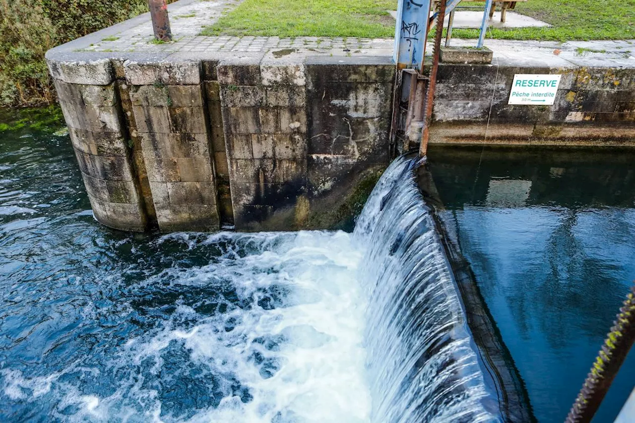 La Rochelle : renaturer les milieux aquatiques, « une importance capitale »