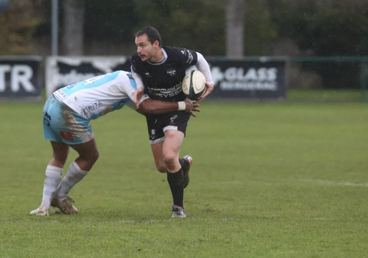 Rugby (Fédérale 2) : courageux, Bergerac s’offre le leader