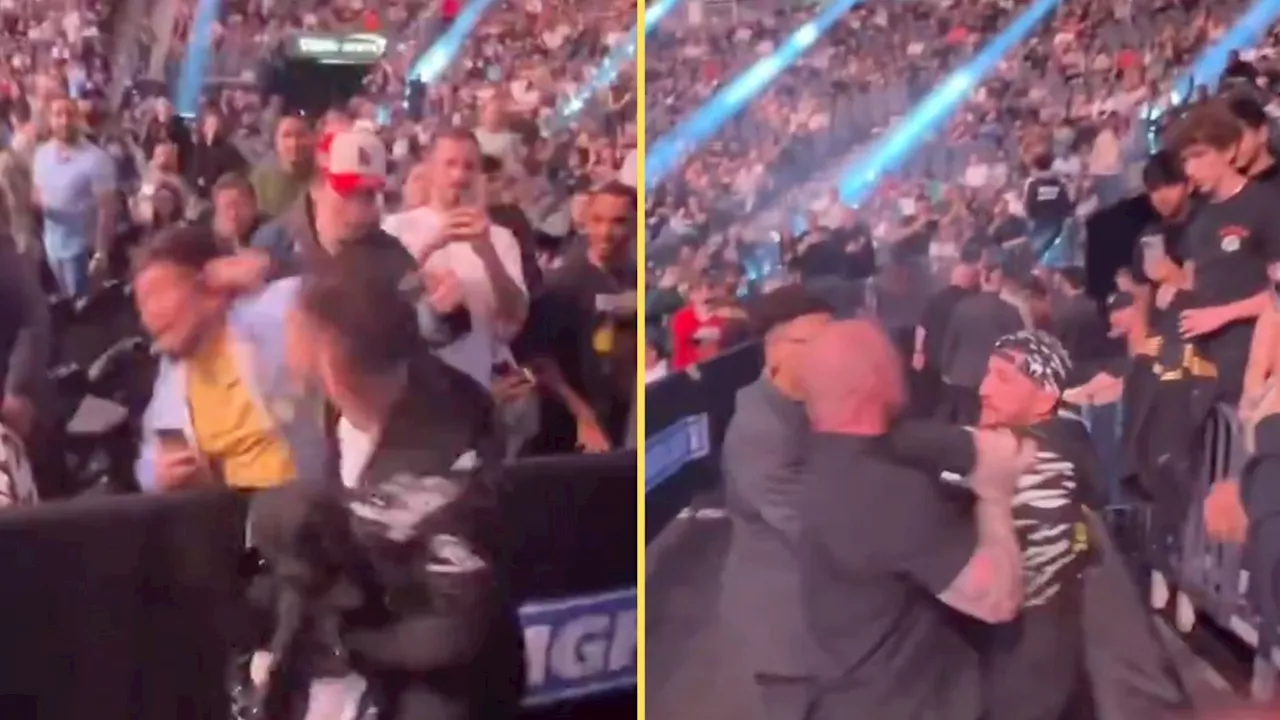 Fan PUNCHED by coach at UFC 310 as Merab Dvalishvili involved in post-fight altercation after Aljamain...