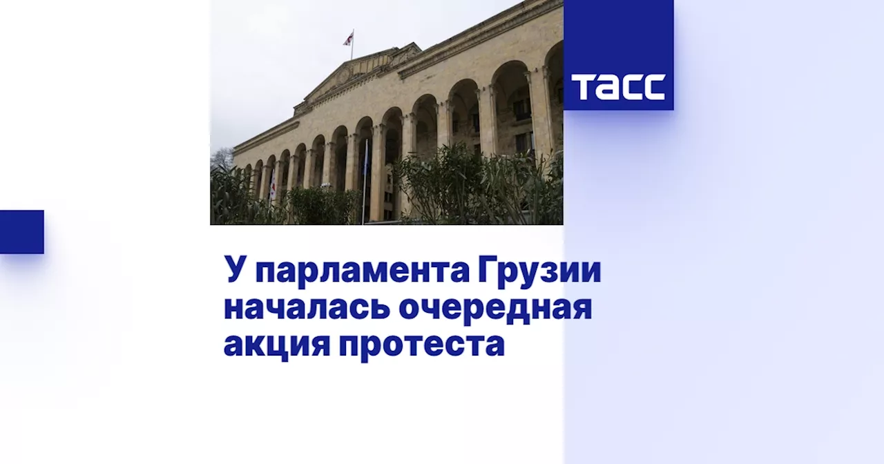 У парламента Грузии началась очередная акция протеста