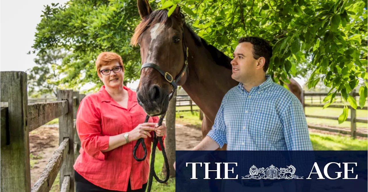 Political split: Marise Payne and Stuart Ayres go their separate ways