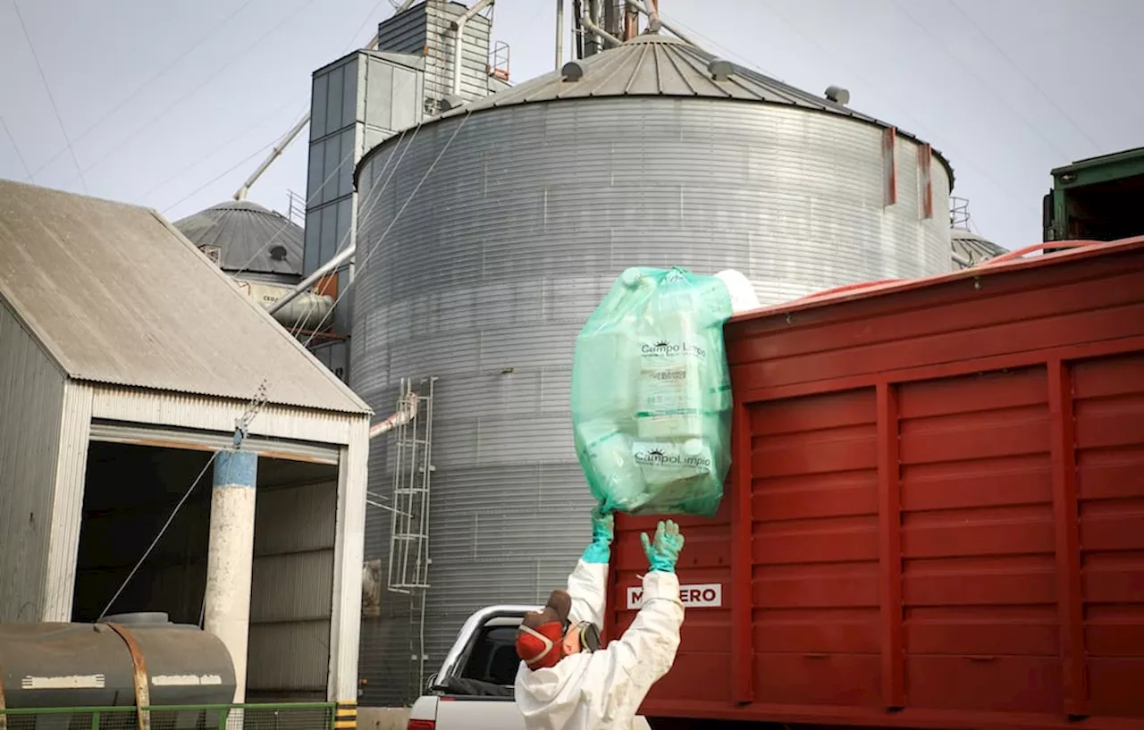 Sustentabilidad: la gestión de envases vacíos de fitosanitarios recuperó 15,5 millones de kilos de plásticos