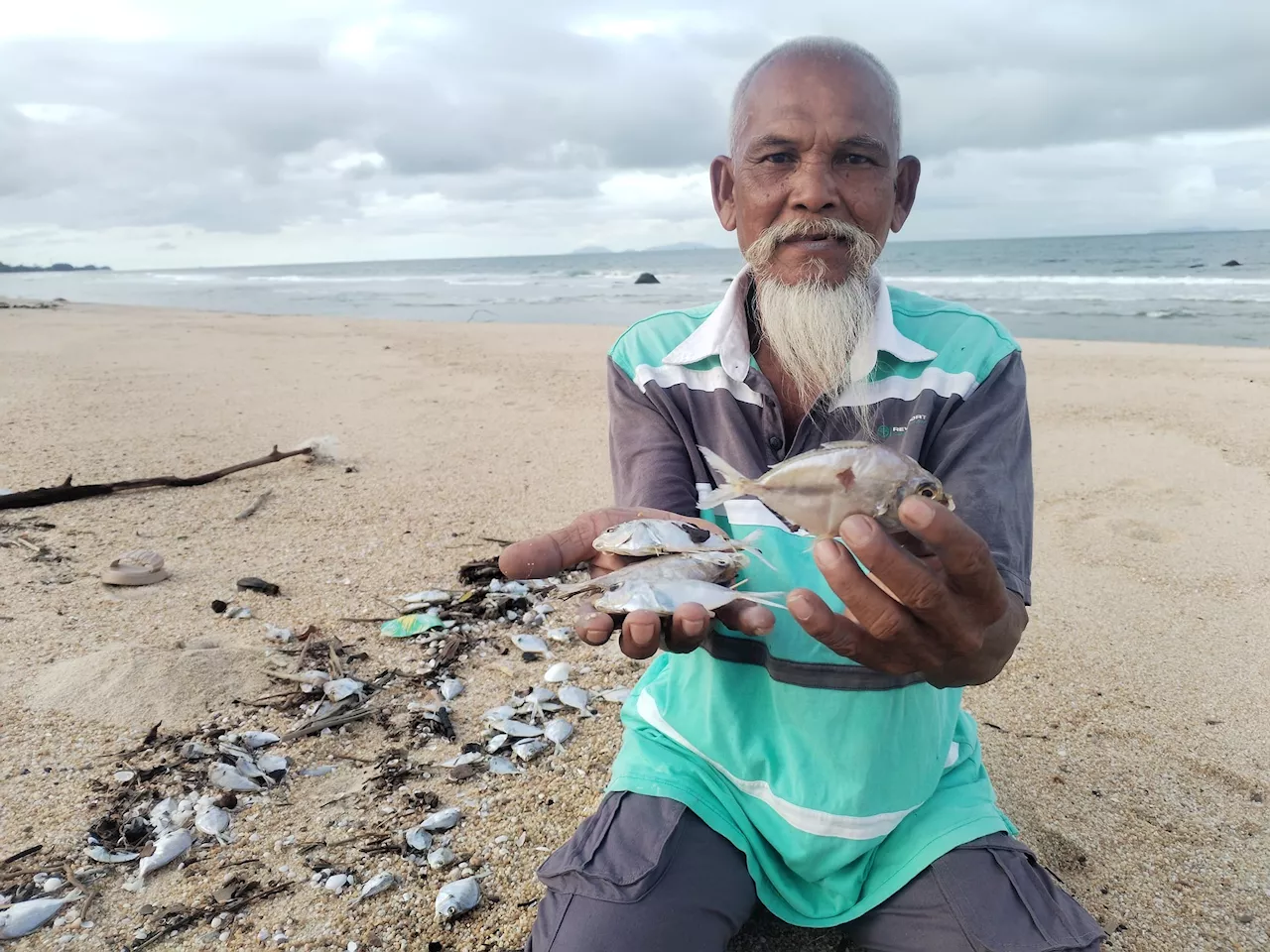 ‘Ikan terdampar’ bukan petanda bencana