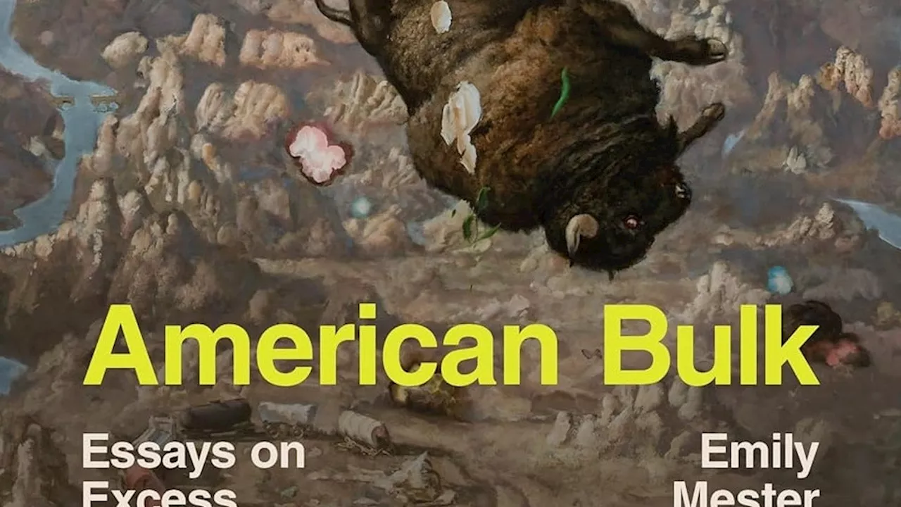 Emily Mester’s Latest Book, ‘American Bulk: Essays on Excess,’ Ushers in a New Perspective on Consumerism