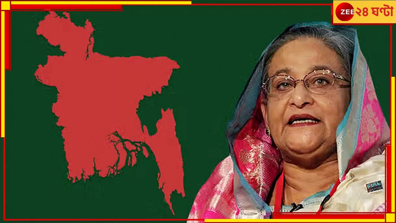 Sheikh Hasina: হাসিনা সরকারের শেষ ৫ বছর, পুলিসের সাইট থেকে উঠে এল খুনের ভয়ংকর পরিসংখ্যান