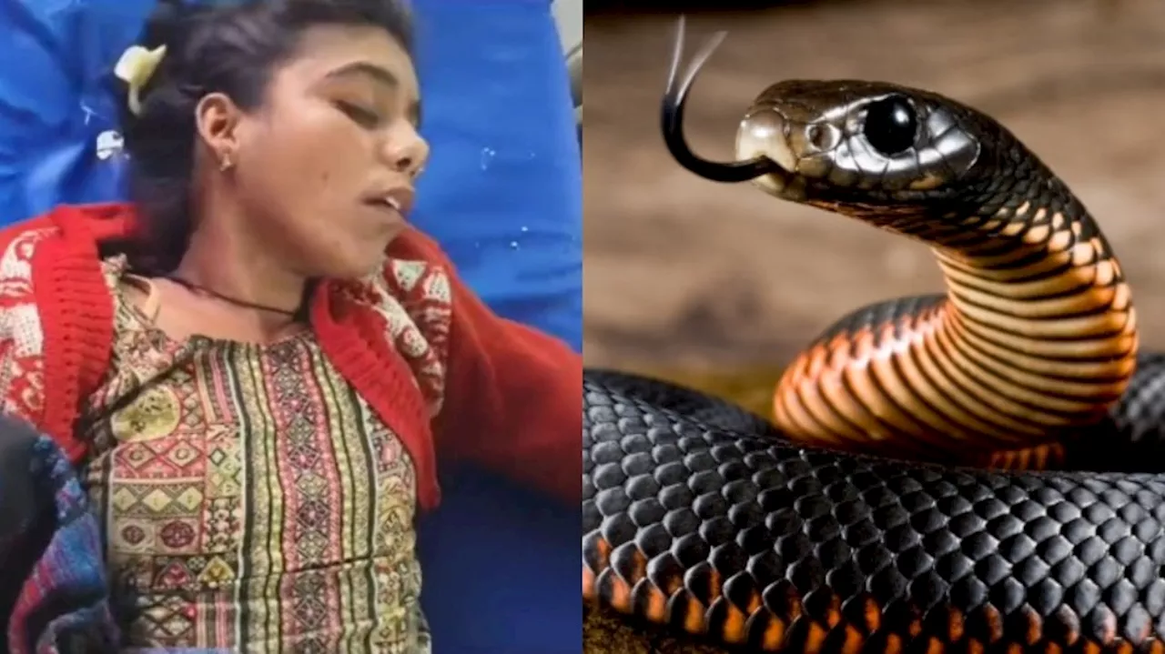 Snake Bite: పగపట్టిన నల్ల త్రాచు.. 11 సార్లు పాము కాటుకు గురైన యువతి.. ఆస్పత్రికి కూడా వచ్చిన పాము..?