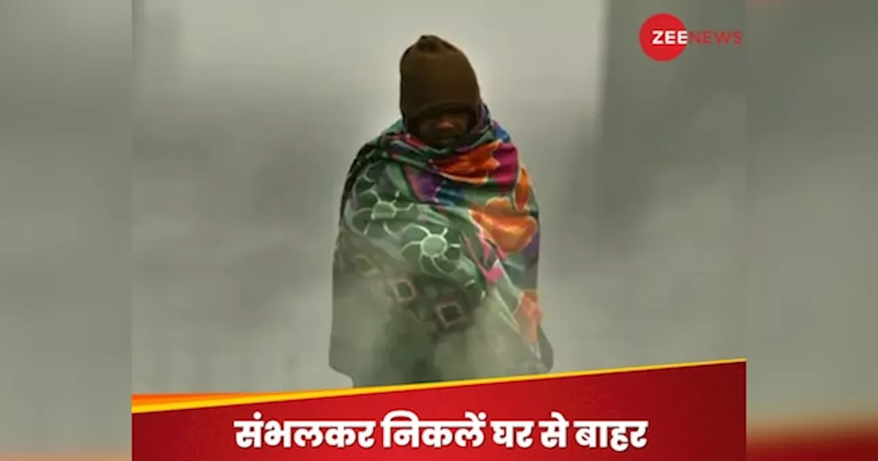 Weather Update: कंपाने लगी है सर्दी, न्यूनतम तापमान 5 डिग्री सेल्सियस; हल्की बारिश की संभावना, IMD ने चेताया