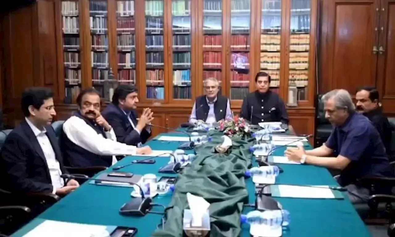 What really happened at meeting of PPP, PML-N dispute committees?