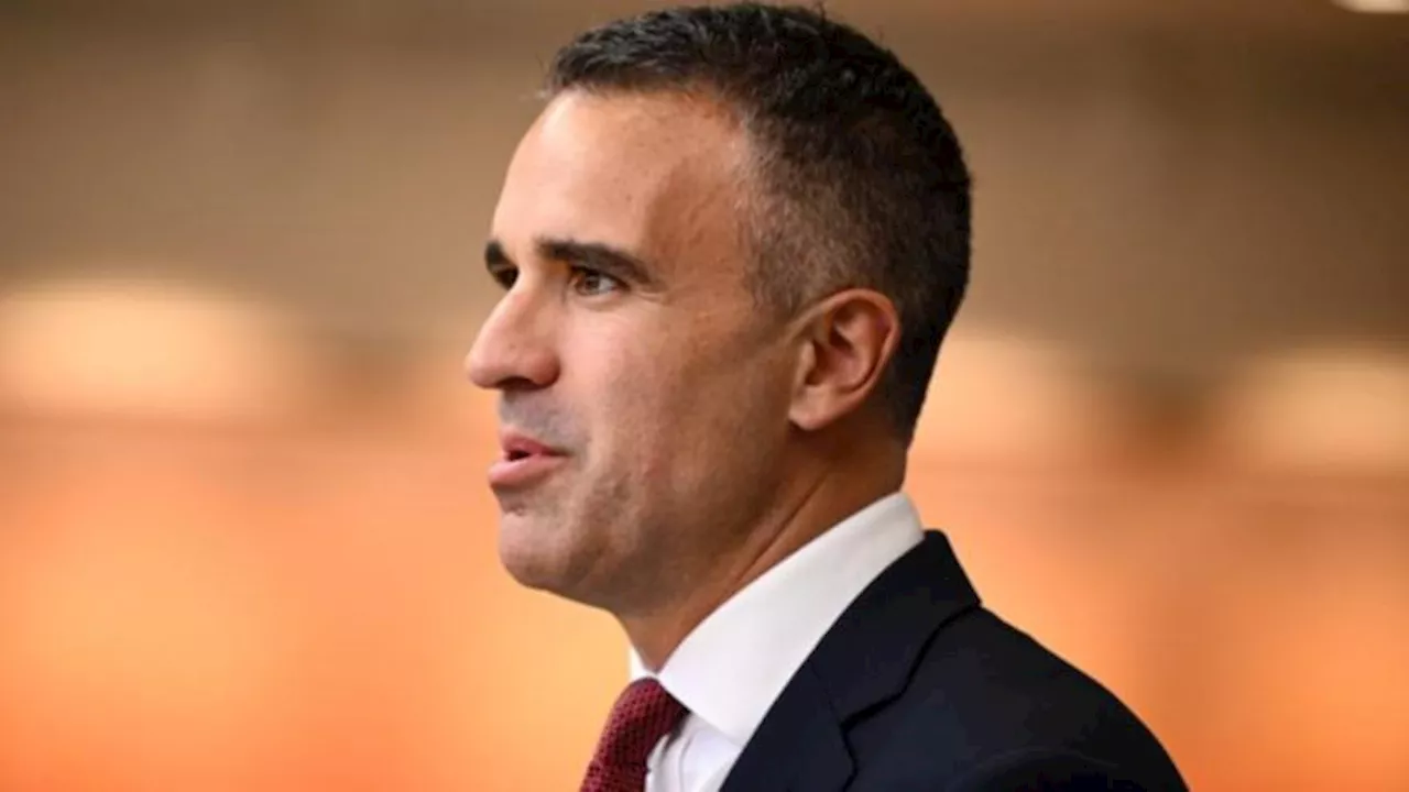 South Australia politics report card: Rating Peter Malinauskas and Labor as Liberals stare down thumping defeat