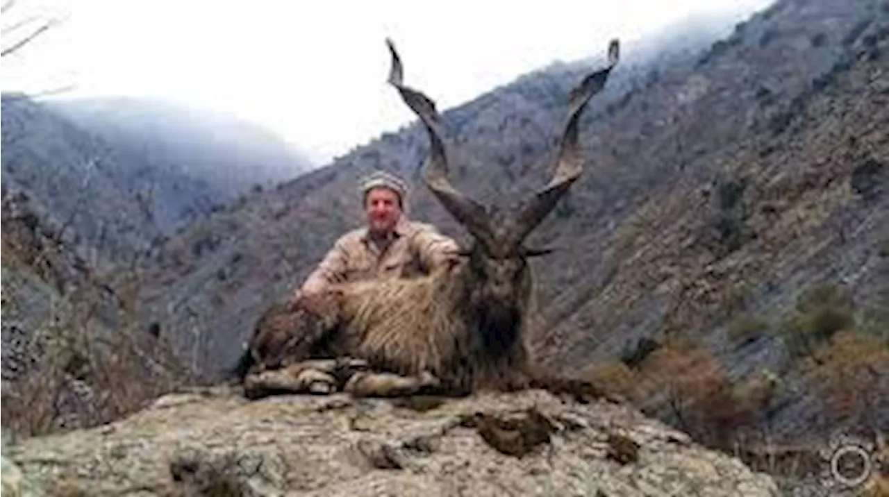 American hunter paid highest amount to hunt ‘Markhor’ in Chitral