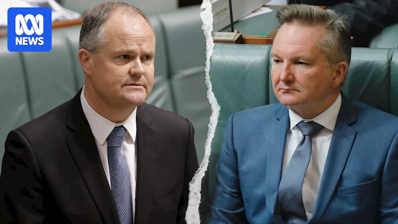 Chris Bowen and Ted O'Brien debate Australia's energy future, following release of CSIRO GenCost report