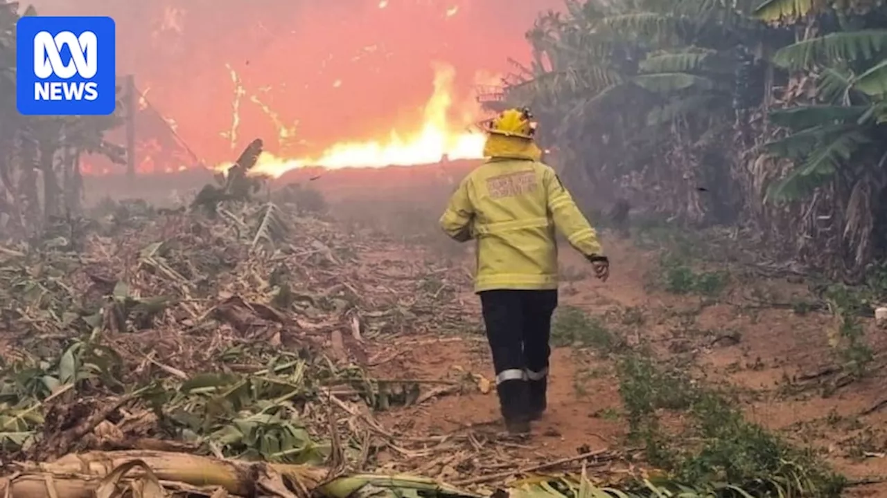 Emergency information translated into Vietnamese for Carnarvon growers