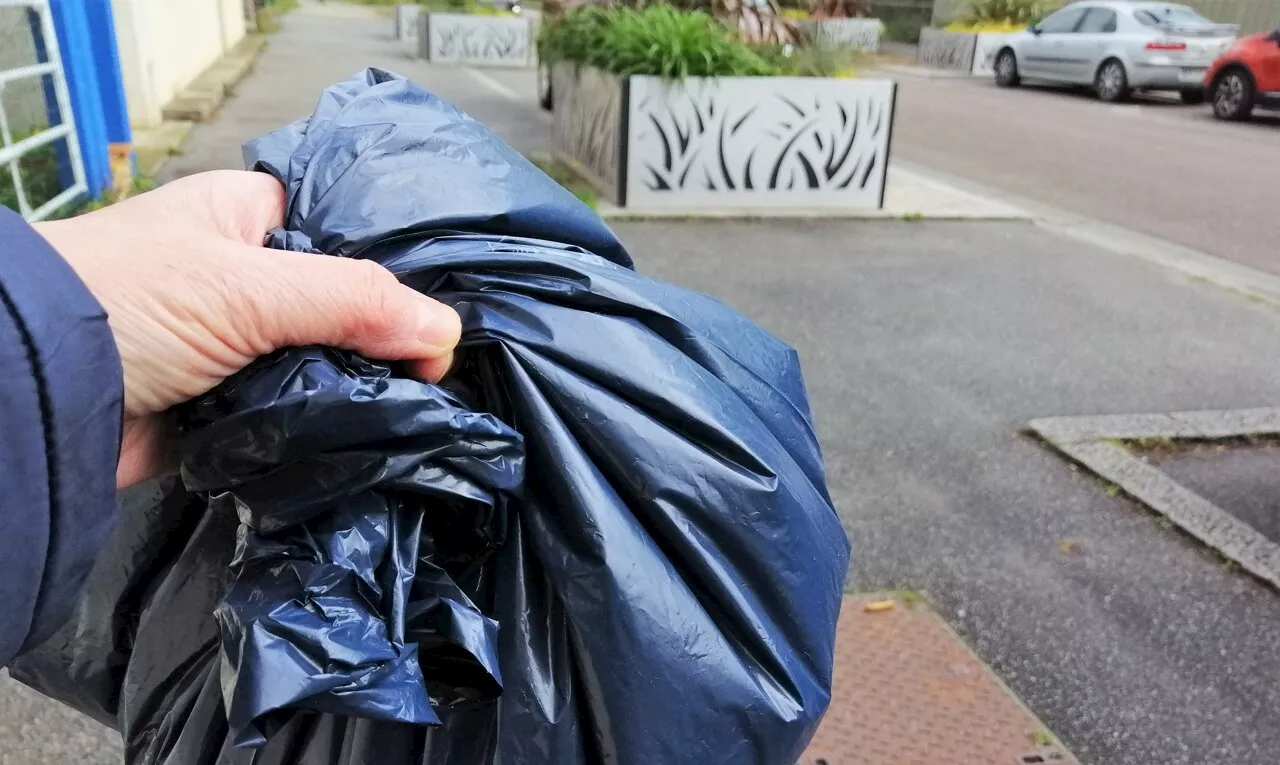 Collecte des déchets : tout ce qui va changer autour d'Angoulême en 2025