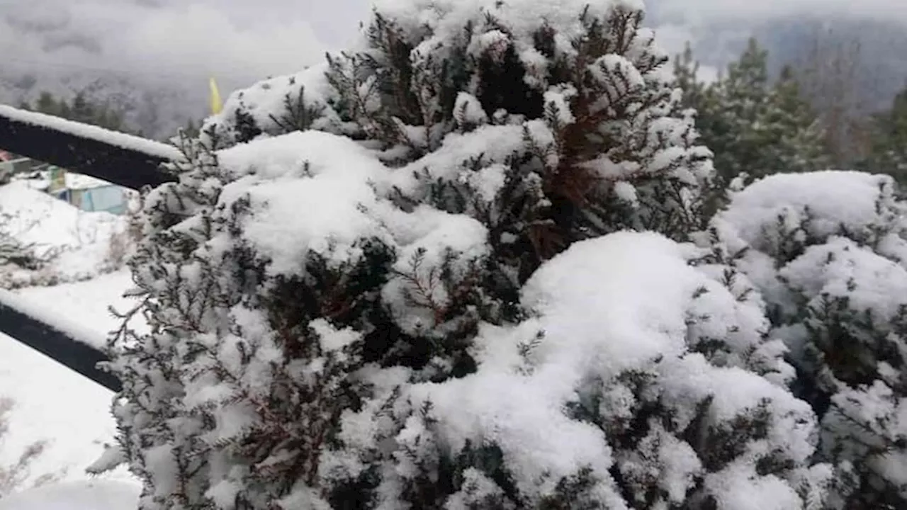 Weather: चोटियों पर बर्फबारी से पहाड़ से मैदान तक बढ़ी ठंड, हिमाचल में दो की मौत; फंसे 1300 सैलानी निकाले