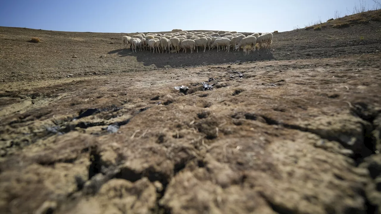 Earth's lands are drying out. Nations are trying to address it in talks this week