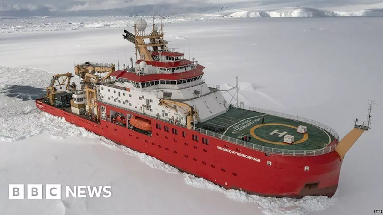 Preparing for Christmas in the wilds of Antarctica