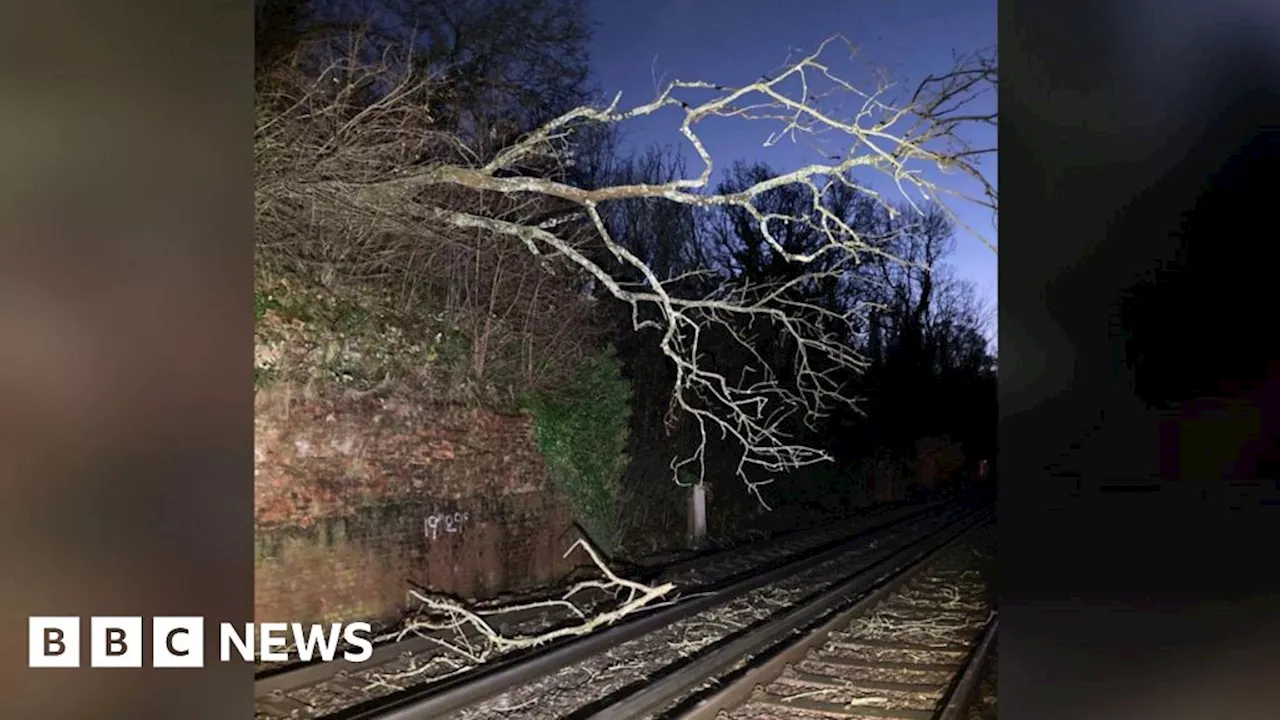 Storm Darragh: Impact of storm still being felt in South East