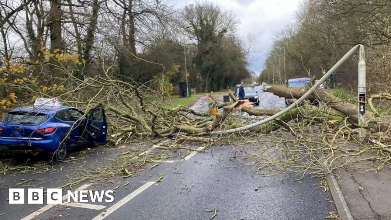 Driver 'luckiest man in Peterborough' after tree falls during Storm Darragh