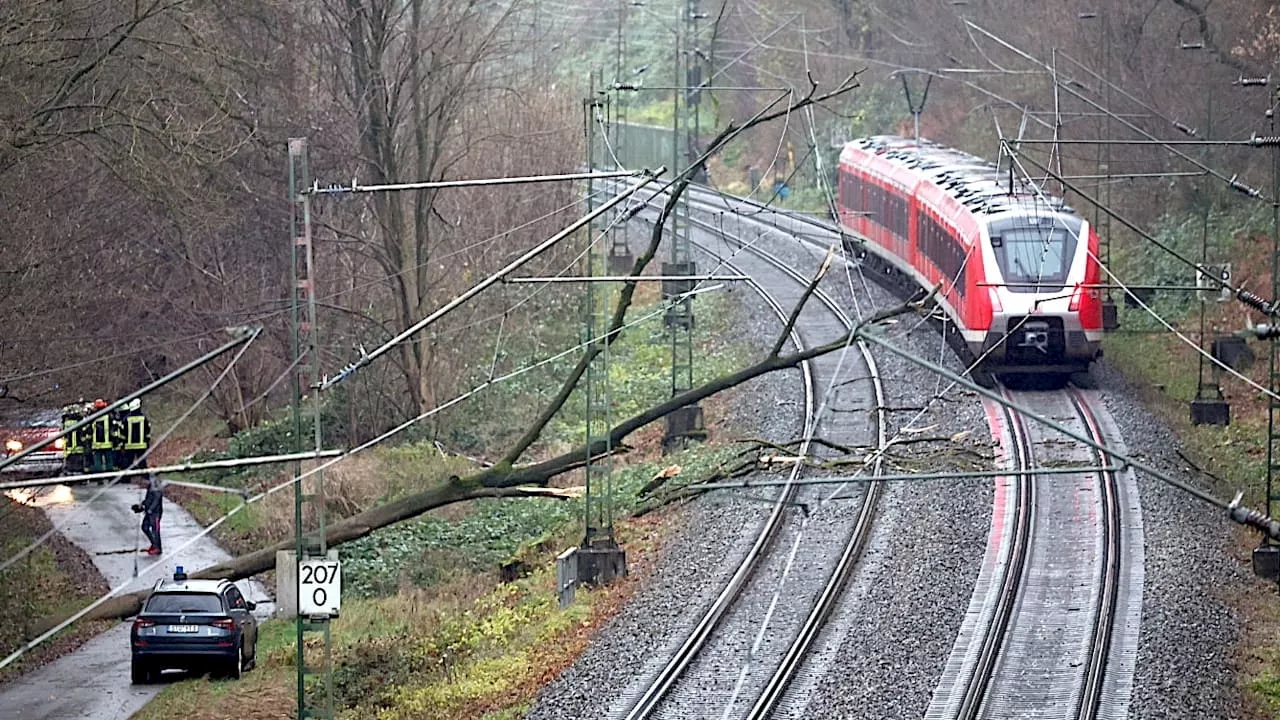 Sturm: Baum blockiert S-Bahn-Strecke zwischen Hamburg und Stade