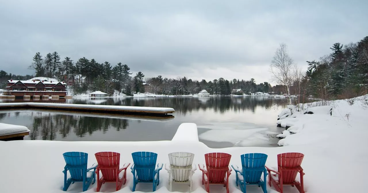 Here's what Toronto's new direct train to Muskoka will look like