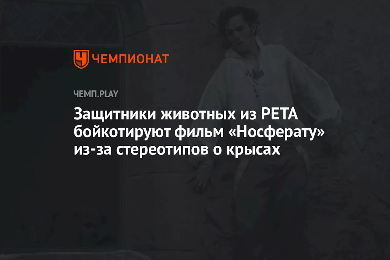 Защитники животных из PETA бойкотируют фильм «Носферату» из-за стереотипов о крысах