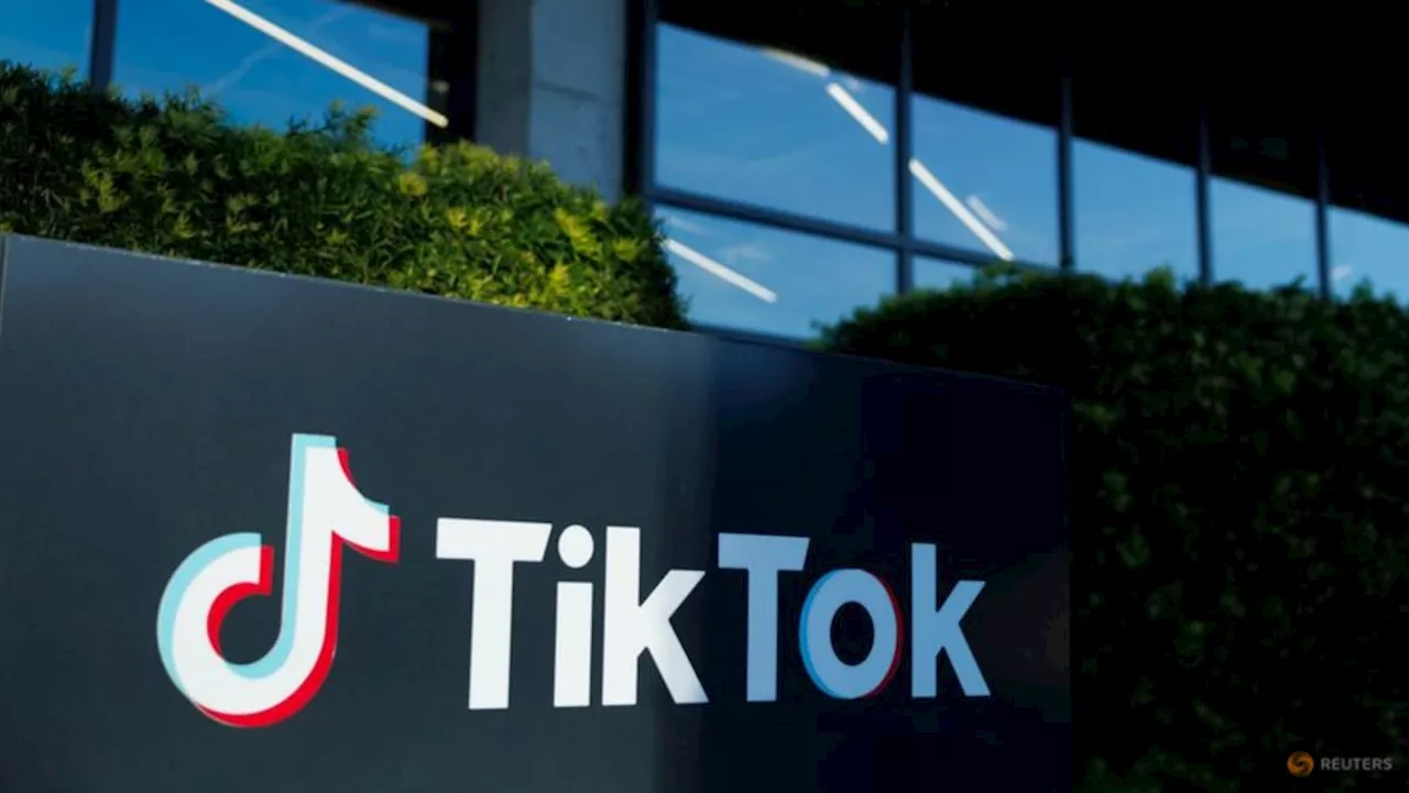 ByteDance, TikTok seek temporary halt to US crackdown law pending Supreme Court review