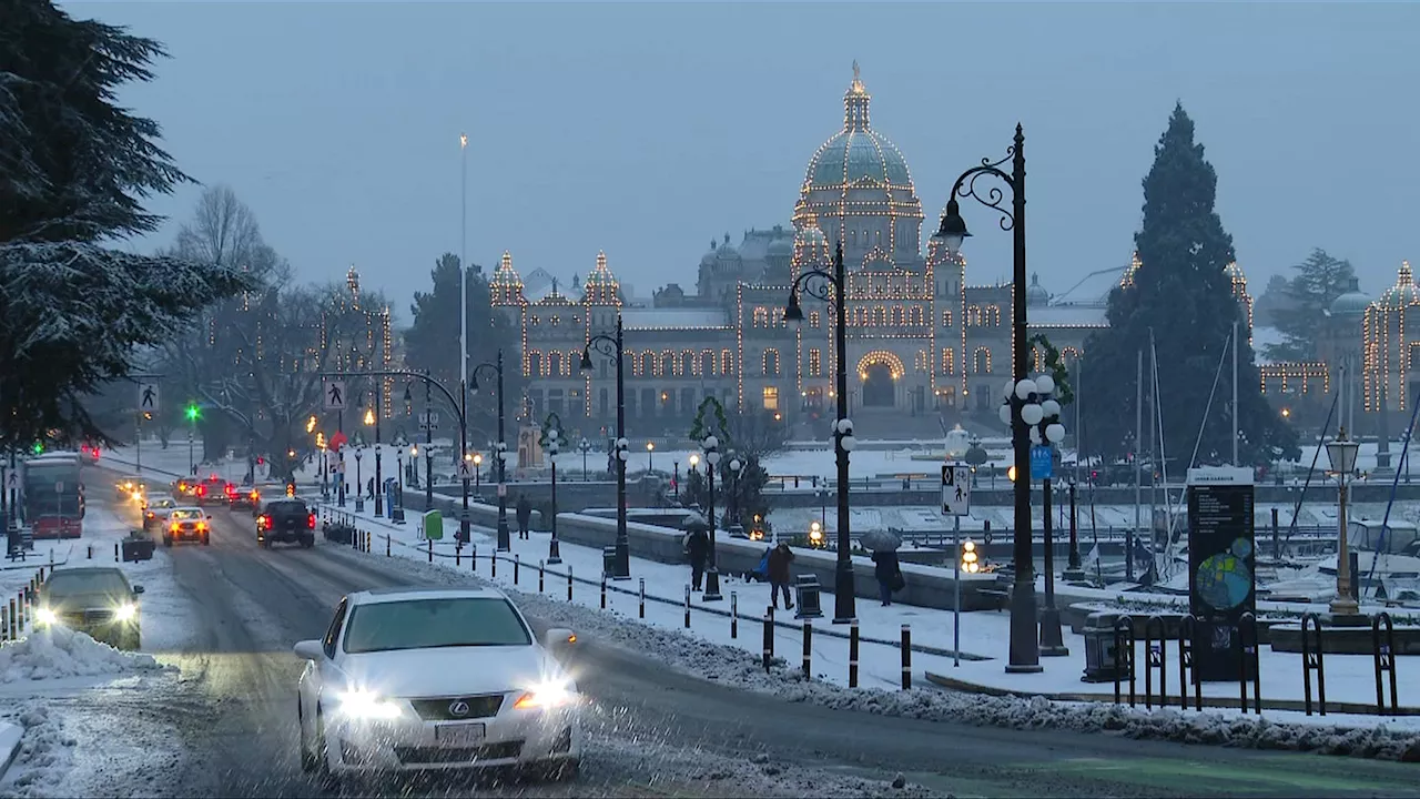 Chances of a white Christmas on Vancouver Island ‘less than five per cent’: meteorologist