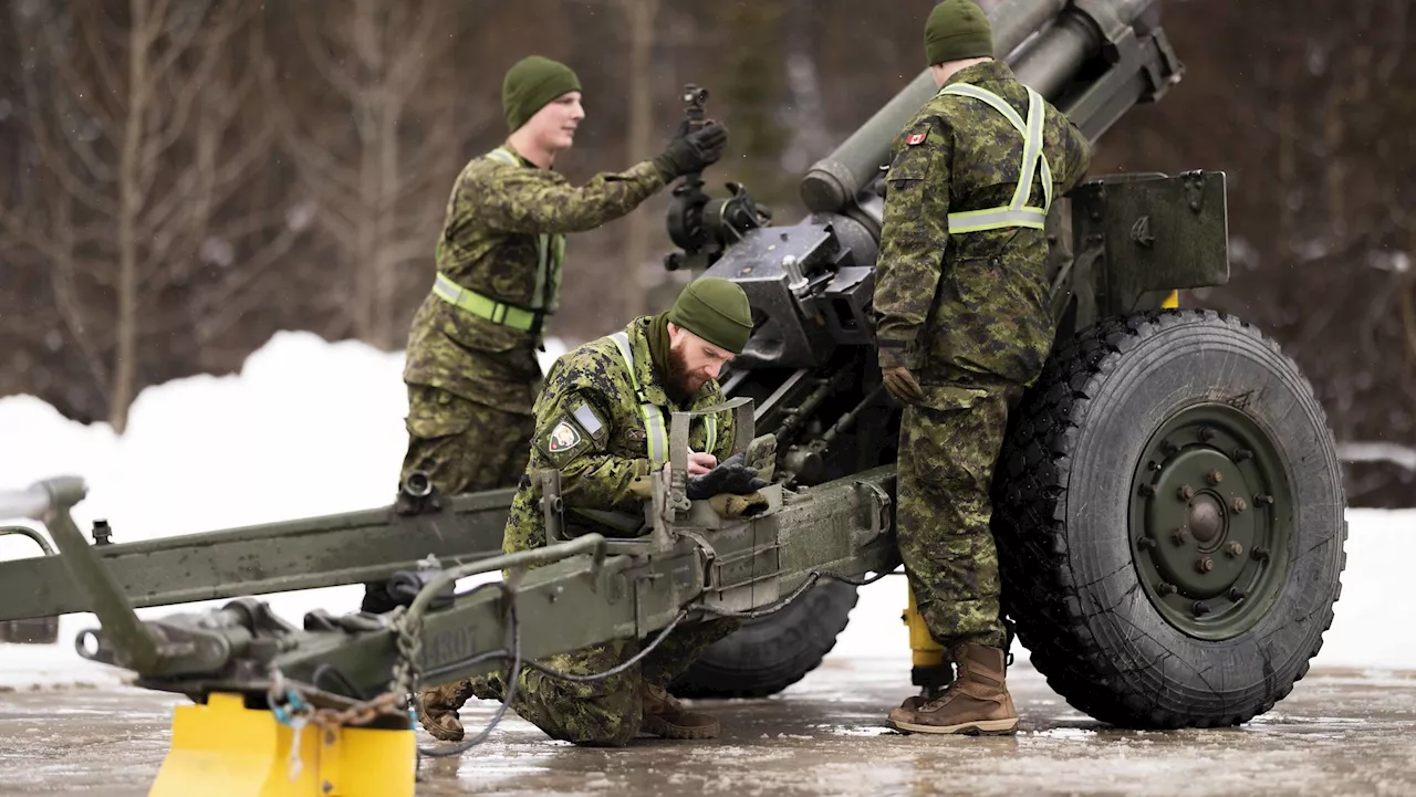 ‘Tis the season: Military ready to bombard B.C. mountain to manage avalanches