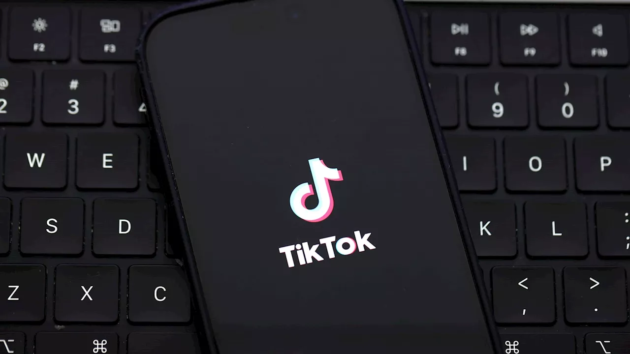 ByteDance, TikTok seek temporary halt to U.S. ban pending Supreme Court review