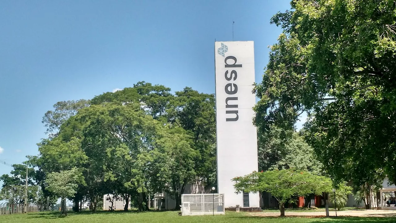 Unesp 2025: estudantes reclamam sobre a prova: “Insana”