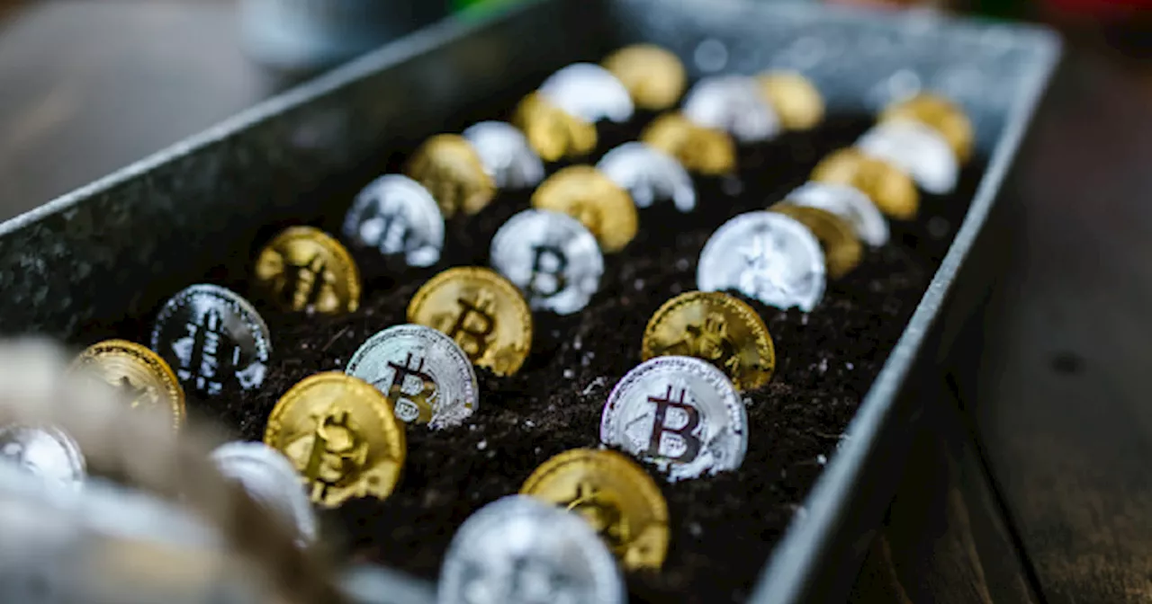 Bitcoin y euro: a cuánto abren la cotización hoy lunes 9 de diciembre