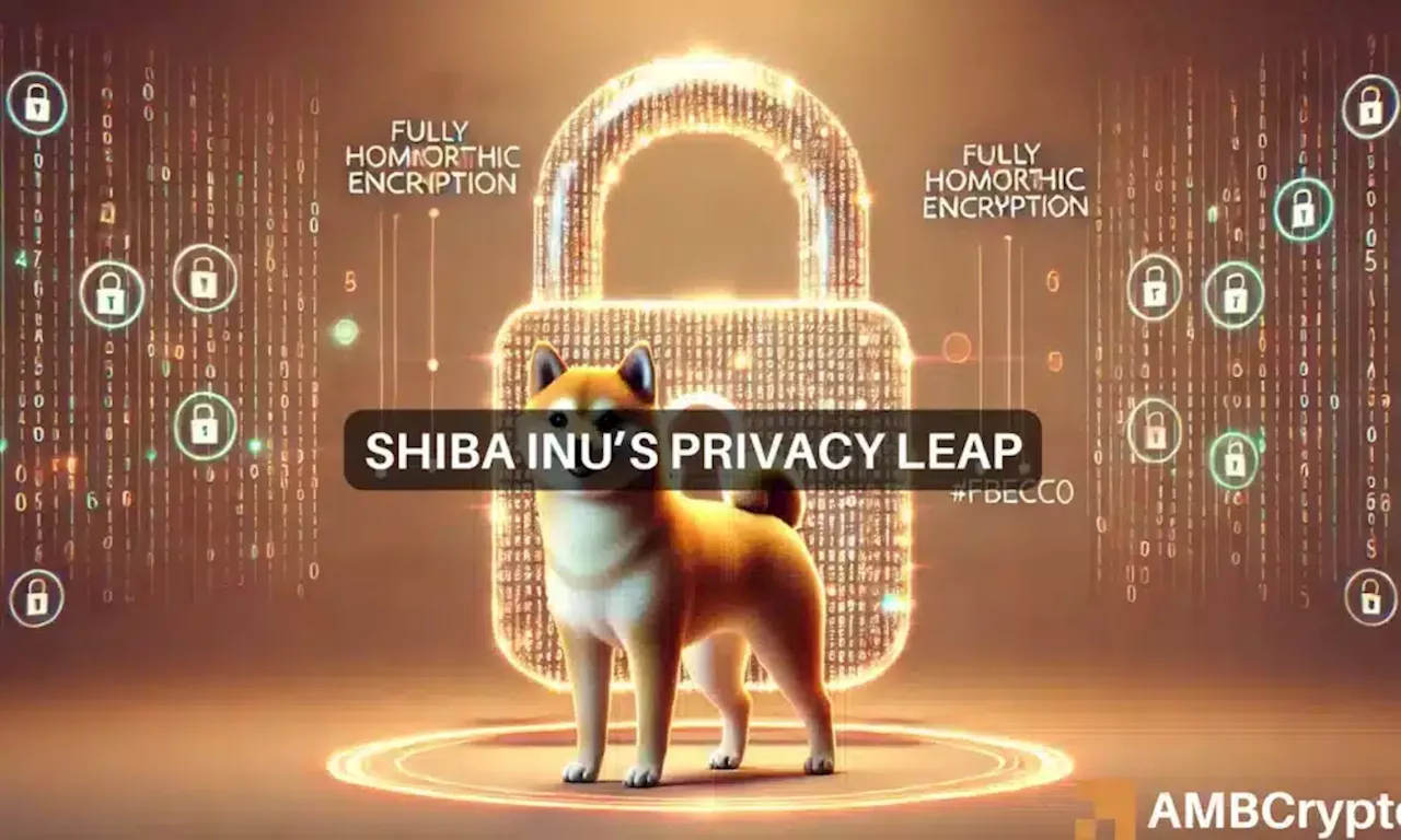 Shiba Inu [SHIB] update: 620M transactions, new privacy upgrade