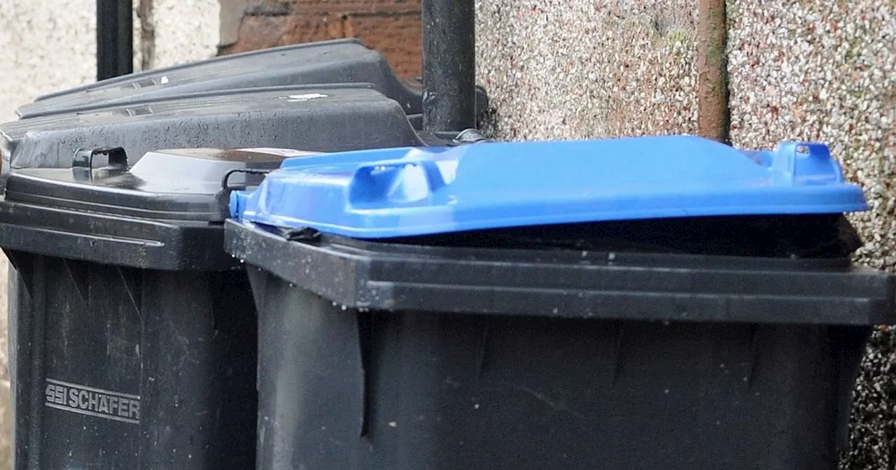 All you need to know about Dumfries and Galloway's festive bin collections