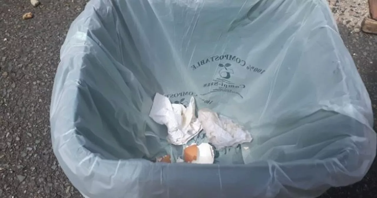 Residents would rather end free food caddy liners over closing recycling centres