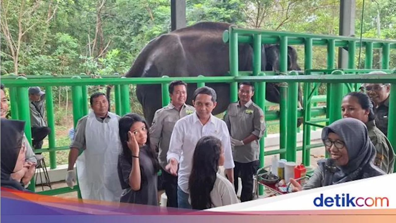 Menteri Kehutanan Perluas Area Penangkaran Gajah dan Badak di TN Way Kambas