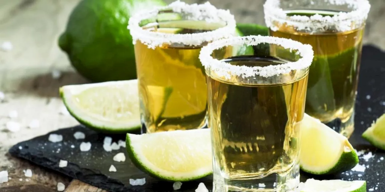 Tequila tiene crecimiento exponencial a 50 años de su Denominación de Origen