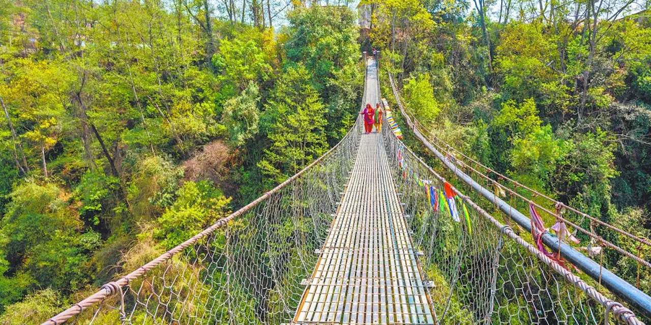 Turismo verde en acción: El camino del Mayab y su impacto comunitario