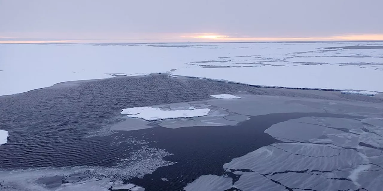 Teufelskreis: Nordpol könnte schon 2027 eisfrei sein - mit Folgen für Europa