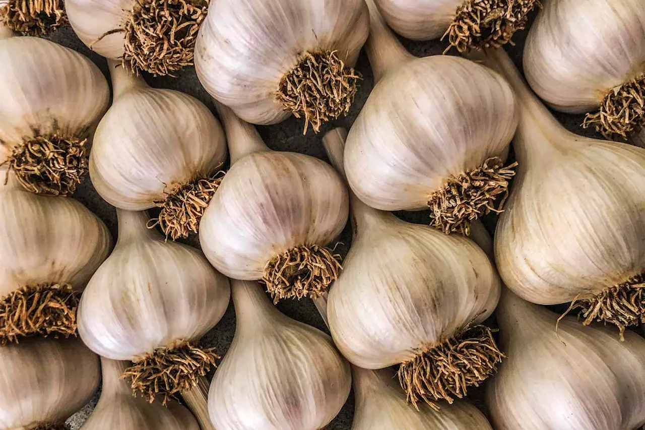 You’re Storing Garlic Wrong — These 5 Solutions Keep Precious Bulbs Fresher for Longer