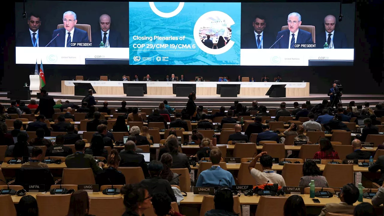 COP29: Lessons Learned From The UN Climate Change Conference