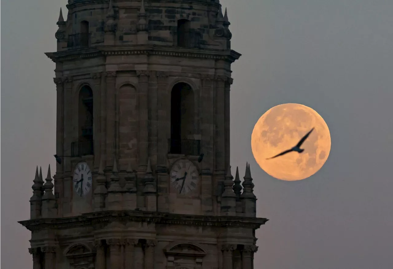 See A ‘Cold Moon’ Rise With Christmas Stars: The Night Sky This Week