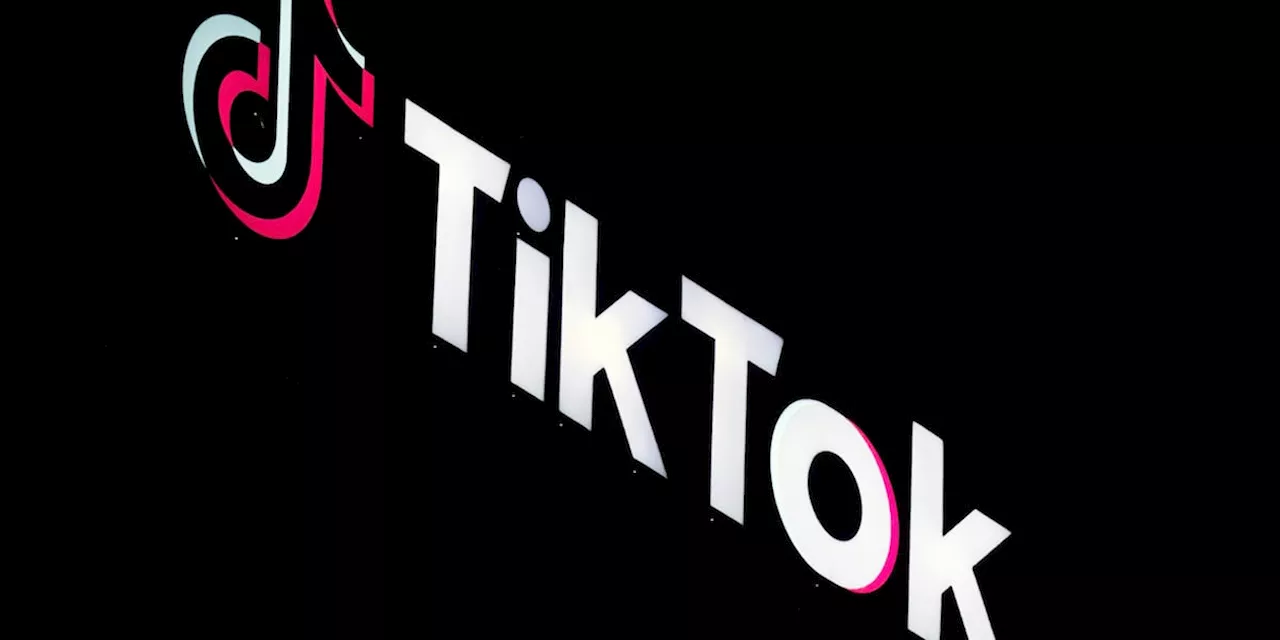 TikTok asks federal appeals court to bar enforcement of potential ban until Supreme Court review