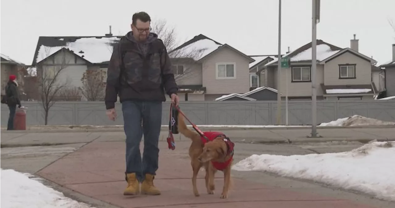 Calgary man wants people to learn service dog rights after issues with transit passengers