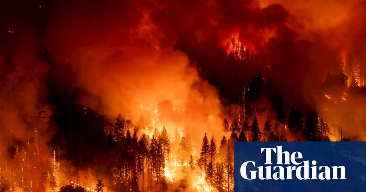 Climate crisis deepens with 2024 ‘certain’ to be hottest year on record