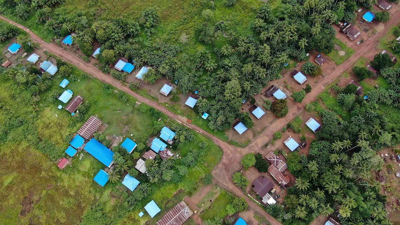 ”Food Estate” Merauke Tingkatkan Emisi Indonesia Dua Kali Lipat