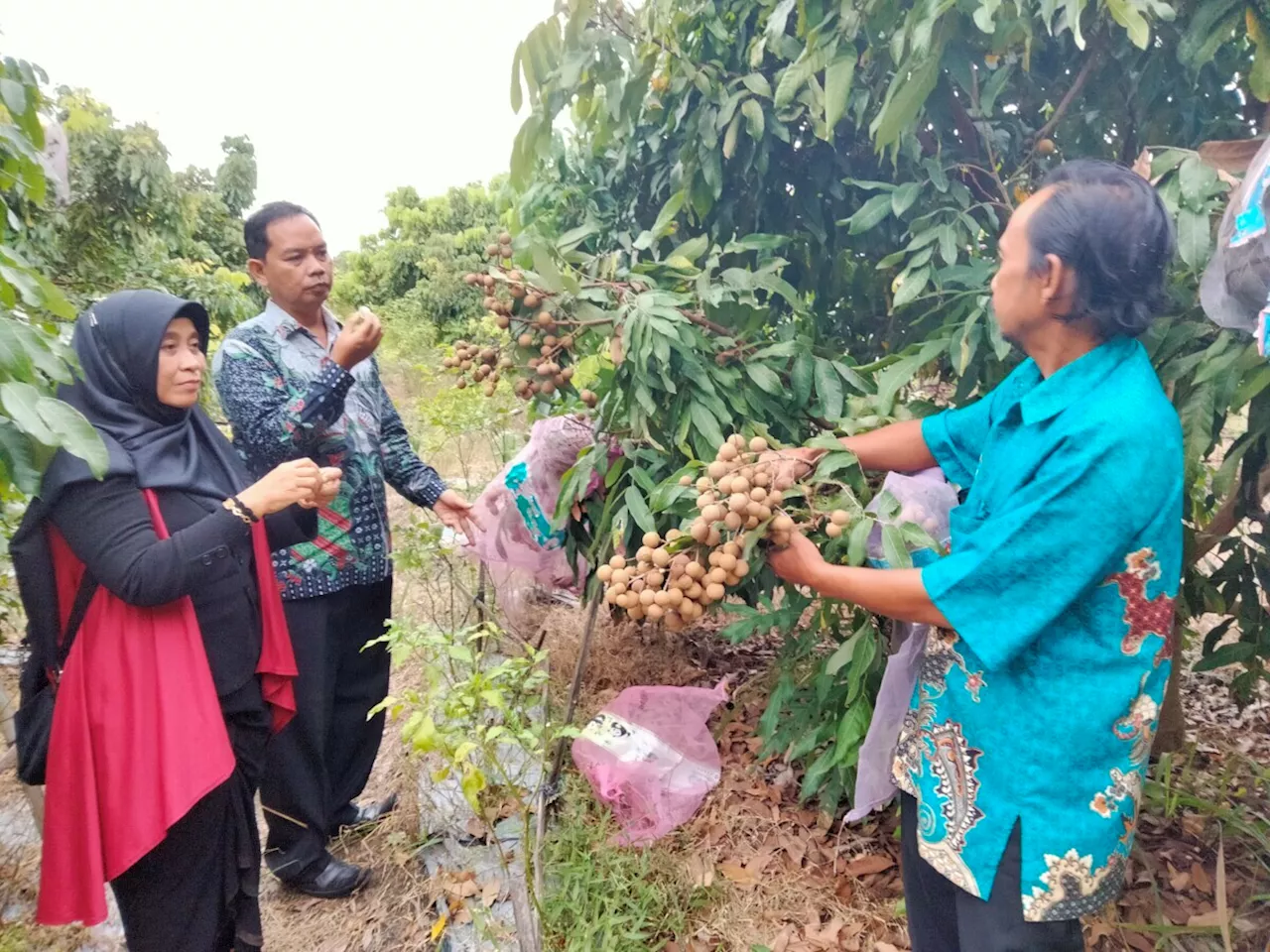 Lulusan Vokasi Makin Siap Bekerja dan Berwirausaha