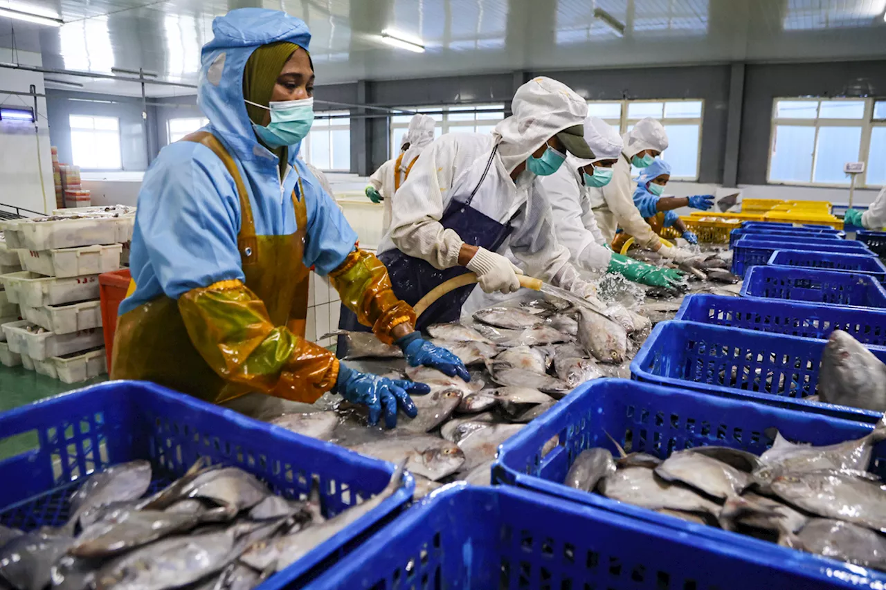 Perkuat Penangkapan Ikan Terukur, Indonesia Gandeng China