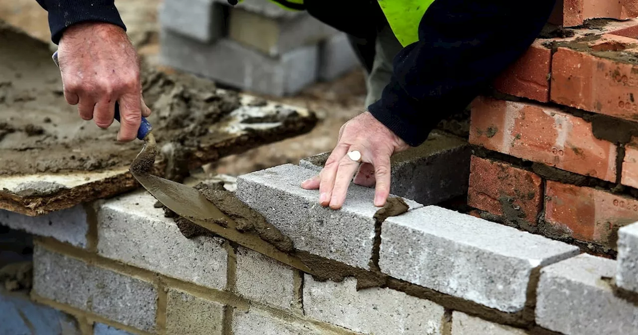 Traveller sites in south Dublin removed from plan due to ‘biodiversity considerations’